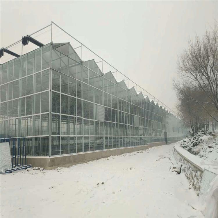 我們?nèi)绾畏纻錅厥掖笈镌庥龅蜏啬?？溫室噴灌機(jī)